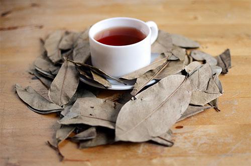 Chá de Folha de Abacate