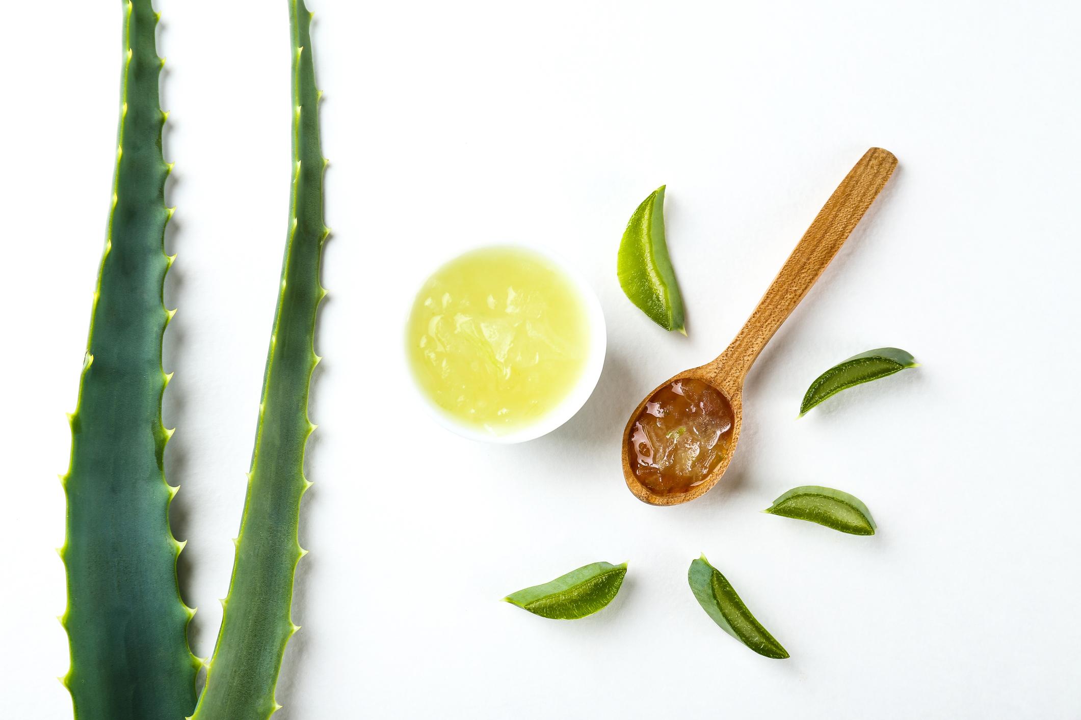 Aloe leaves laid in flat lay composition as skin nutrition concept.