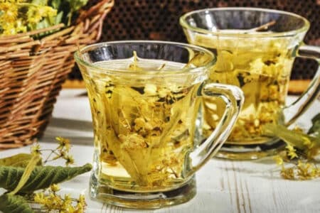Chá de carqueja: aprenda a preparar essa bebida diurética e saudável – Blog  da Pajaris | Biquínis, Moda, Viagens e Vida Solar