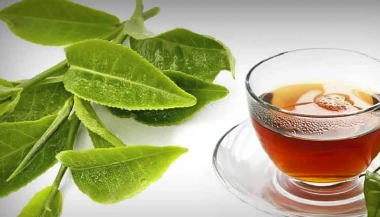benefícios do chá de folha de goiaba
