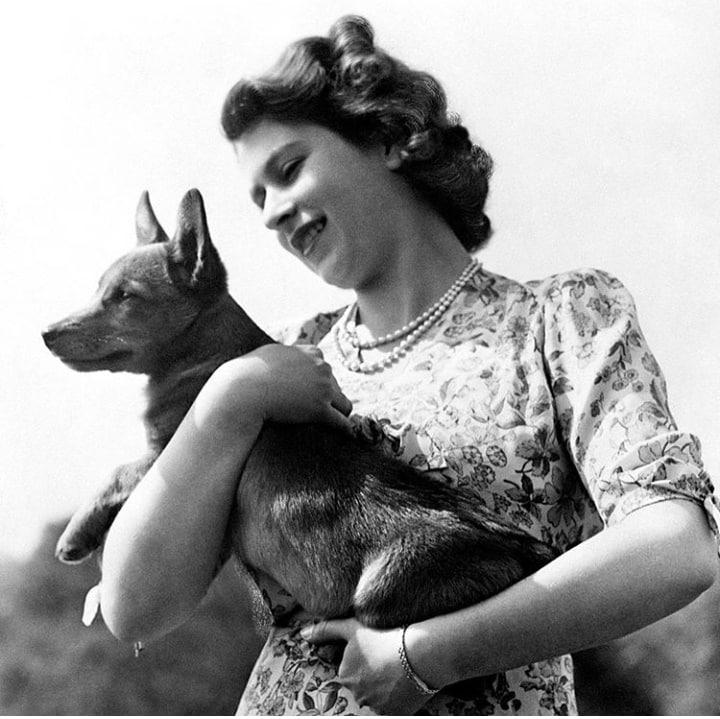 rainha com um cachorrinho na adolescencia