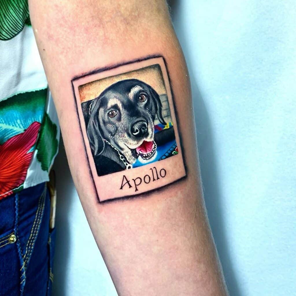 tatuagem cachorro