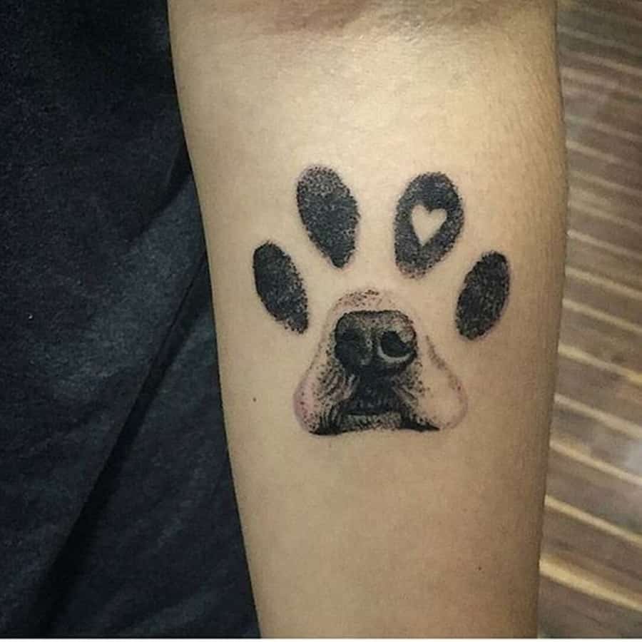 tatuagem de cachorro 4