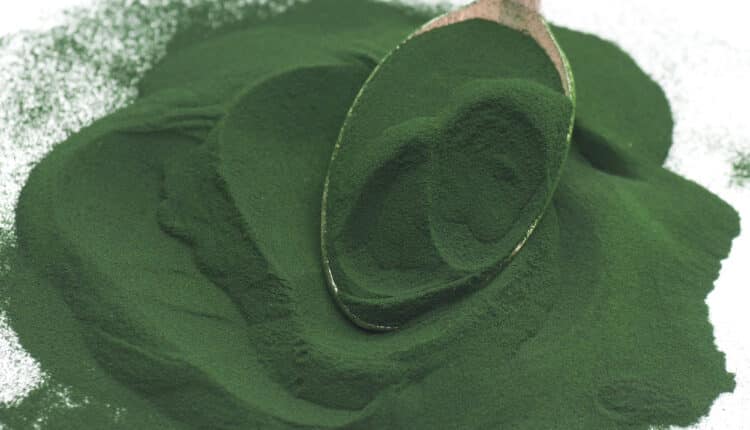 Algae Powder