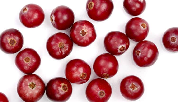 beneficios da fruta cranberry
