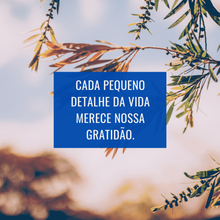 Frases De Gratid O Op Es Para Agradecer Todos Os Dias