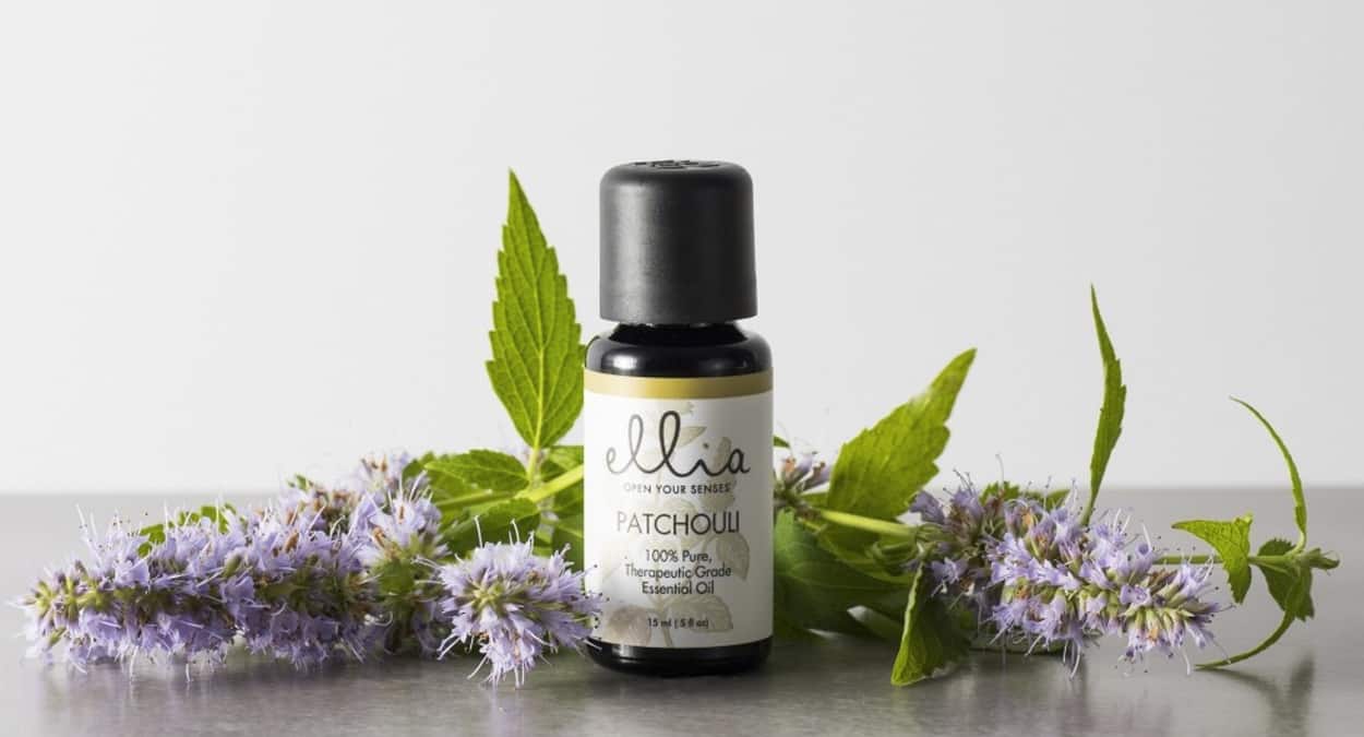 Patchouli 1.18 2. Пачули (Patchouli). Индонезийский пачули. Пачули XDTKS. Пачули DOTERRA цветок.