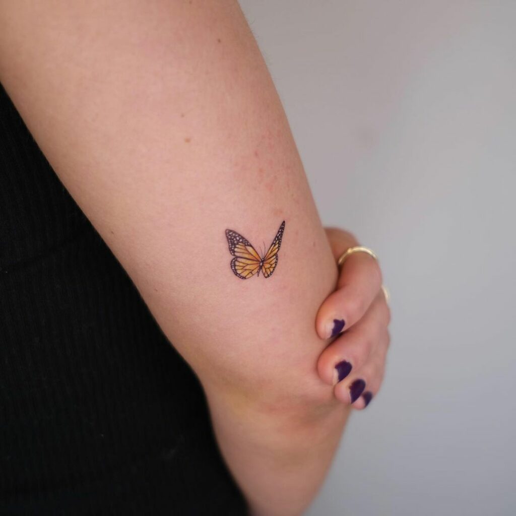 Tatuagem de borboleta 65 inspirações e descubra o significado