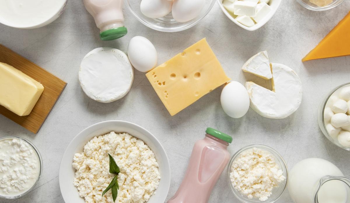 Curso de laticínios e queijos online