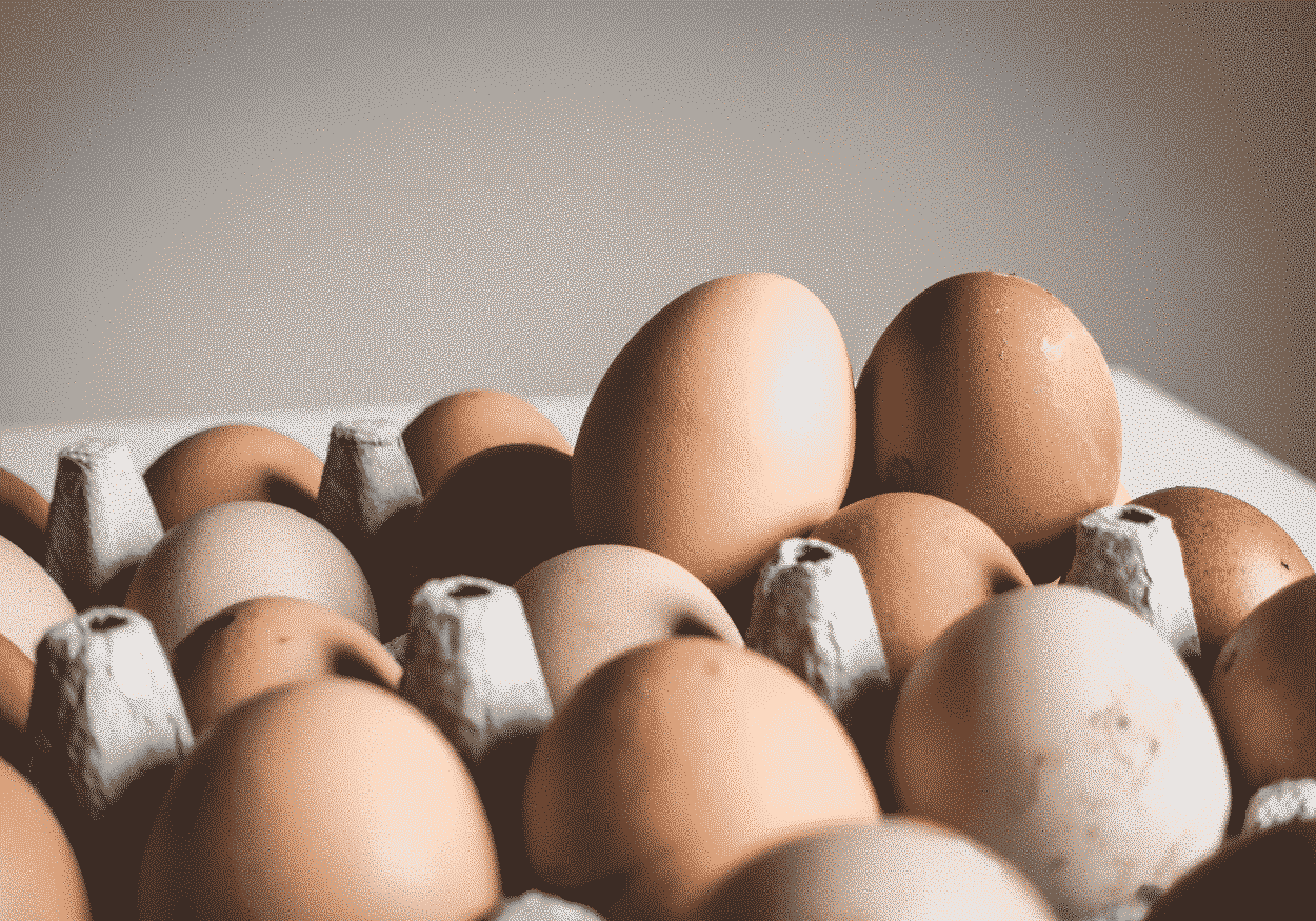 Entenda como a dieta do ovo nos faz emagrecer