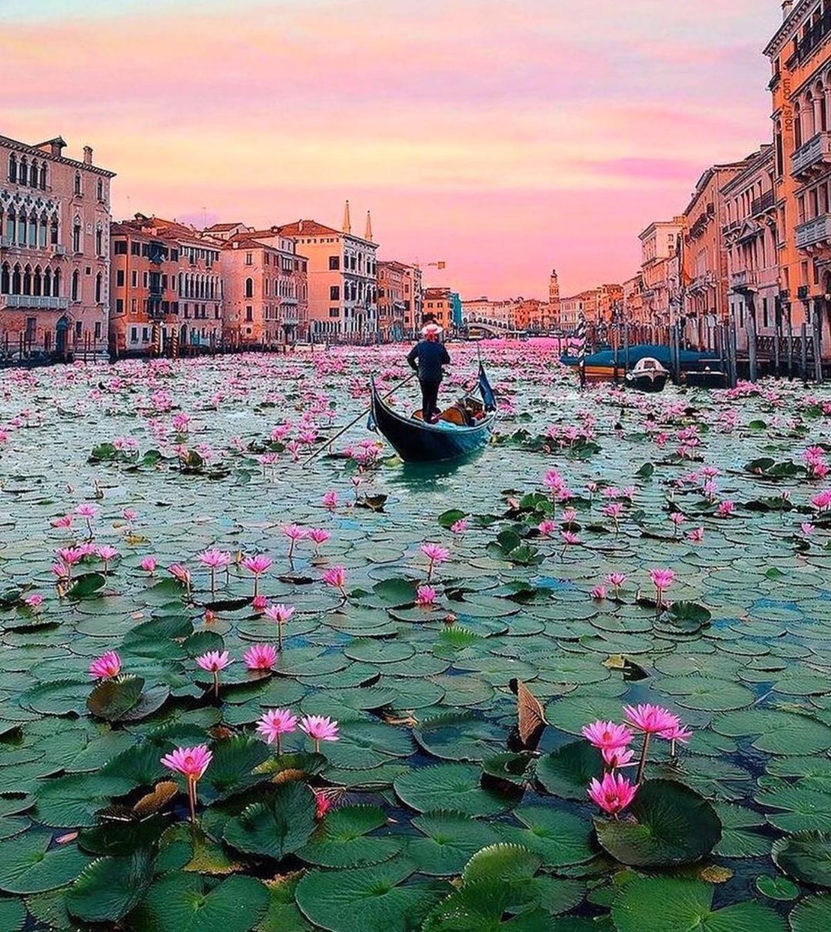 veneza lua de mel