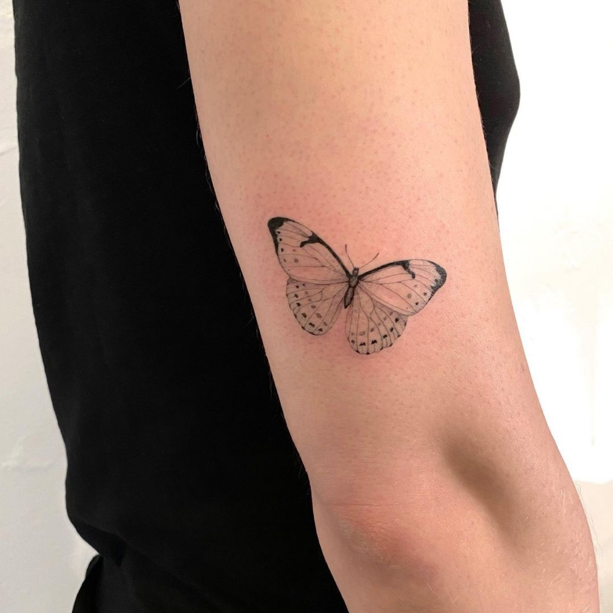 tatuagem de borboleta delicada no braço