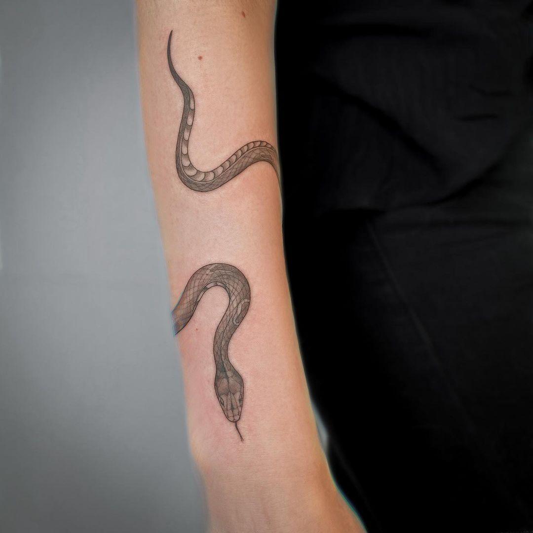 tatuagem de cobra 27