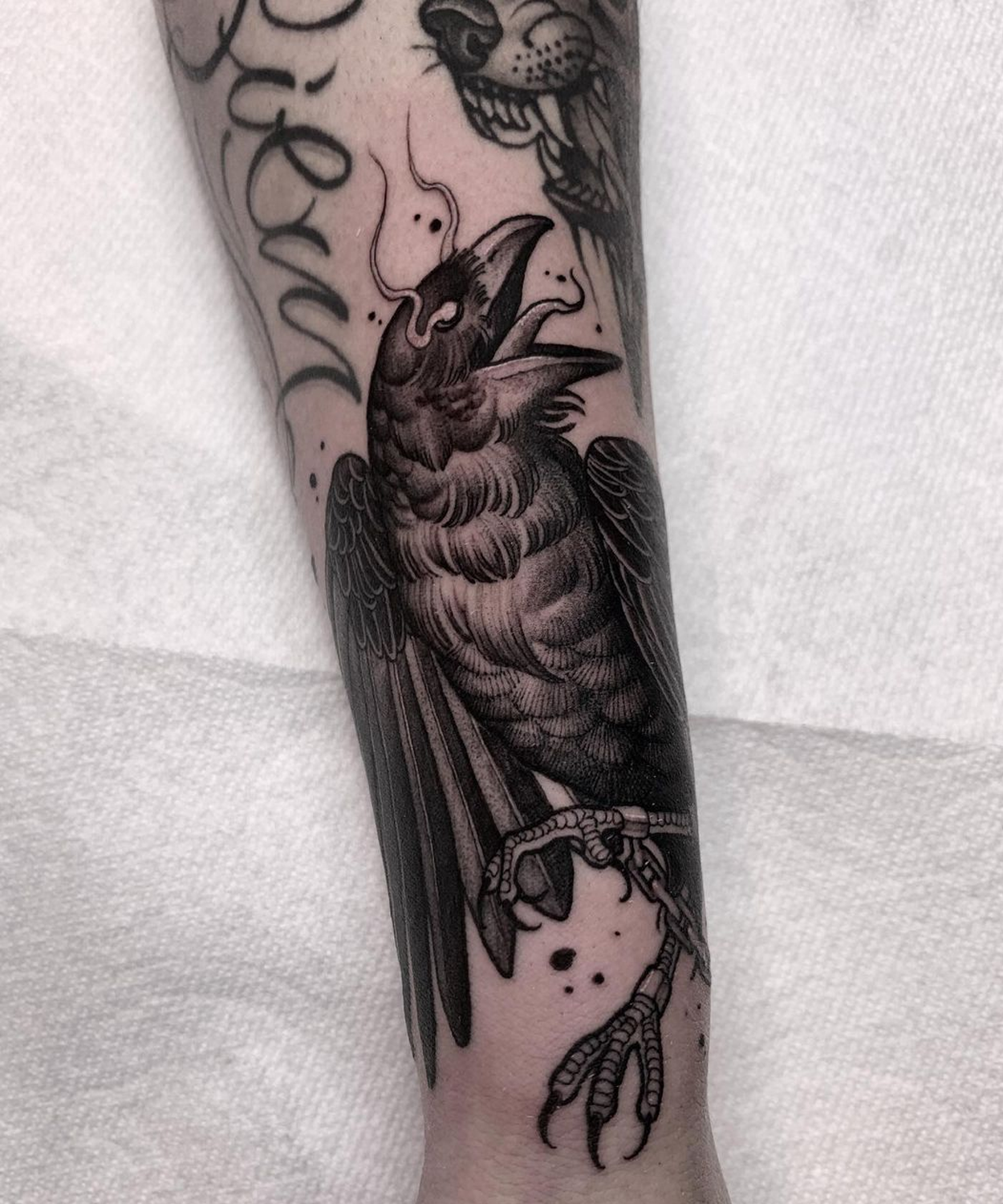tatuagem de corvo 34