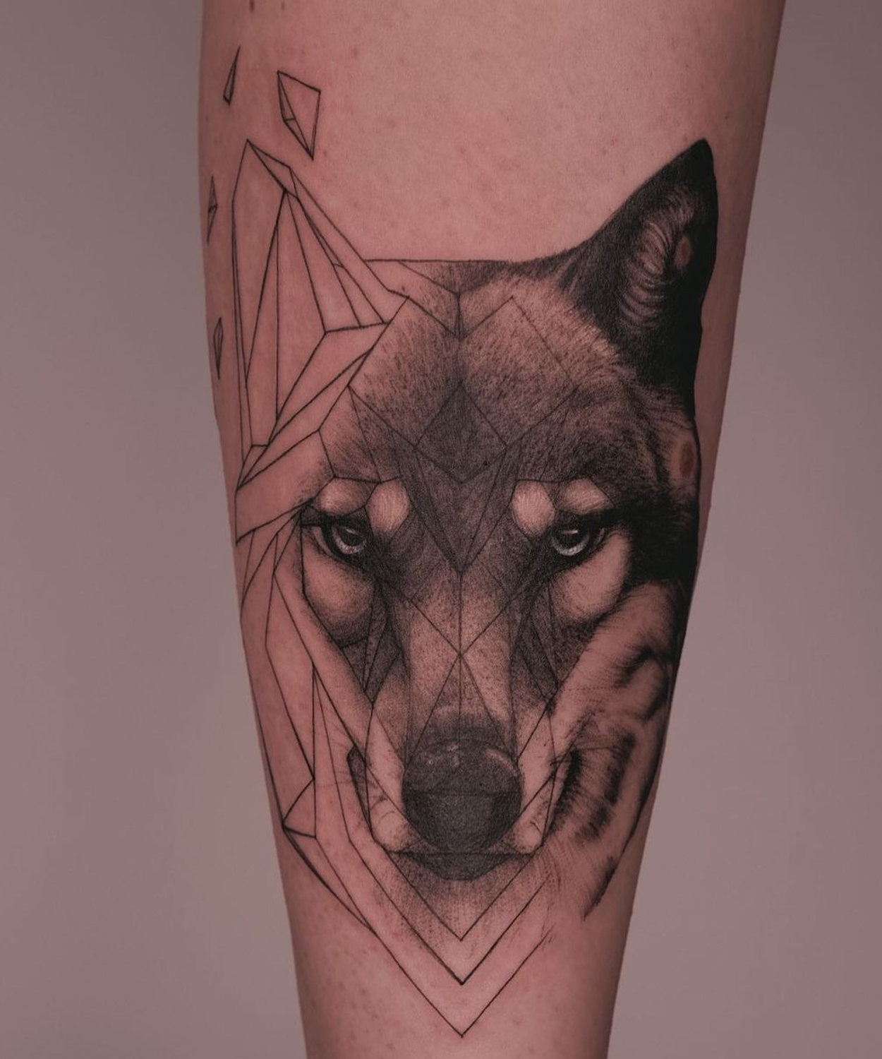 Tatuagem de lobo geométrica e realista