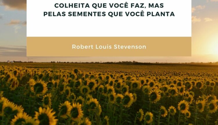 frases de sucesso (4)