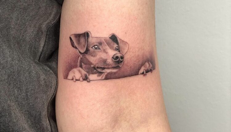 tatuagem para quem ama animais 8
