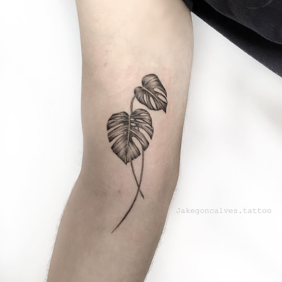 Tatuagem de plantas 1