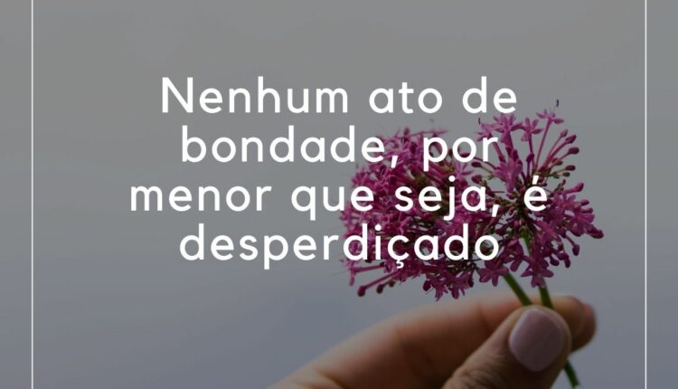 frases de bondade (7)