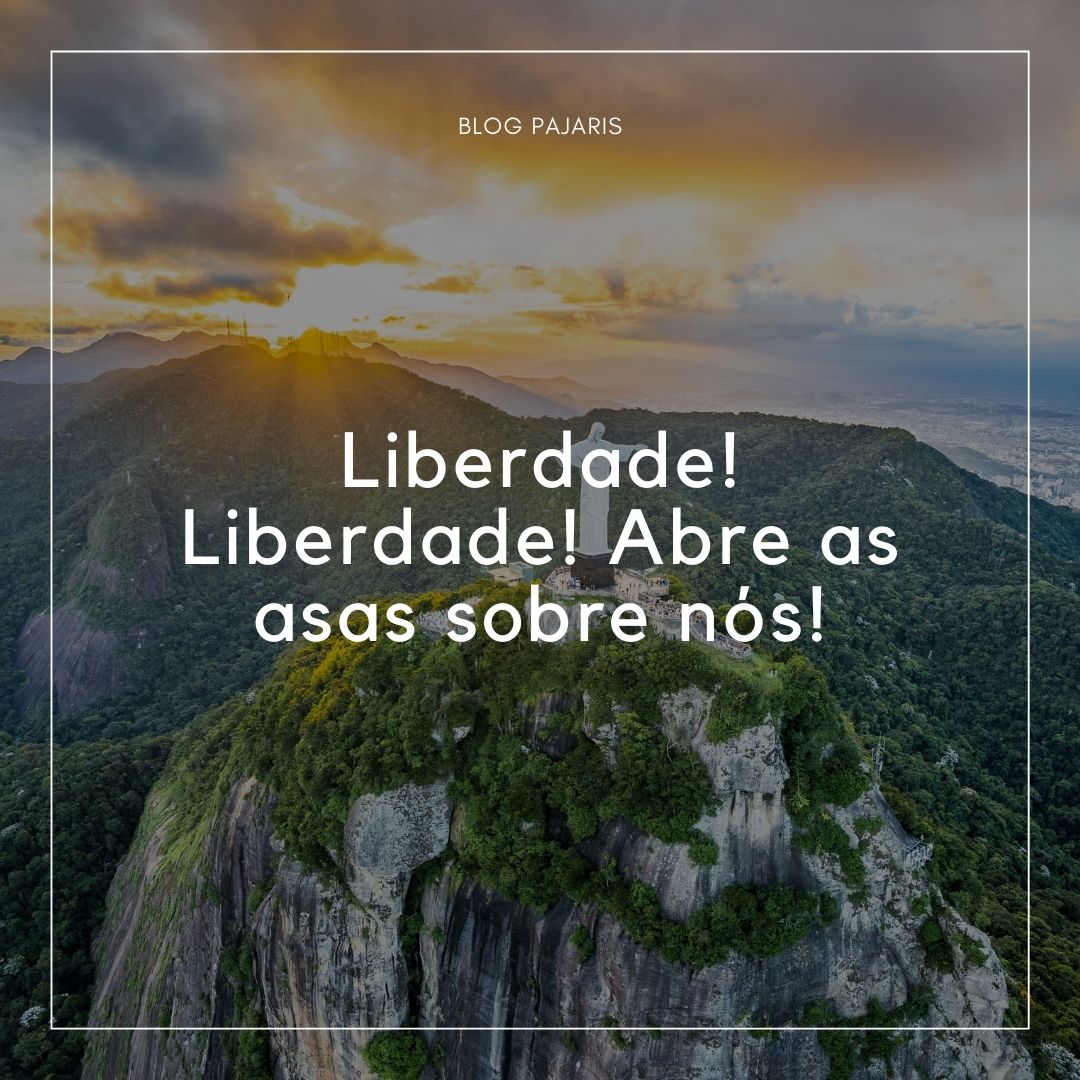 frases sobre a proclamação da republica do brasil (1)
